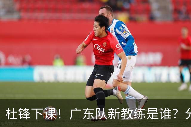 杜锋下课！广东队新教练是谁？分析3选1